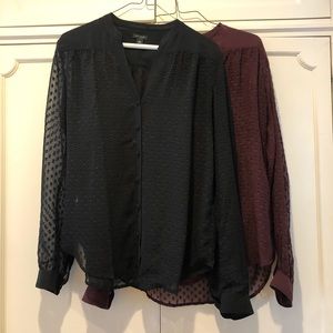 Set of 2 sheer Ann Taylor blouses